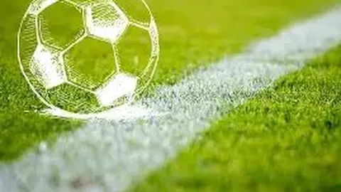 db体育官网 资讯 125535 y84