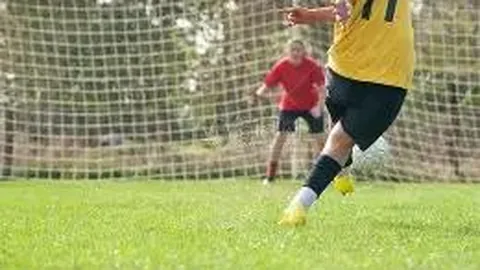 db体育官网 产品 124443 a5b